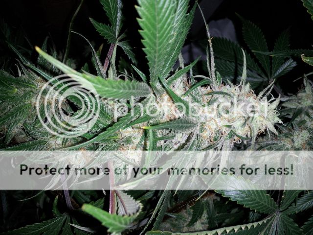 20121227_091600.jpg