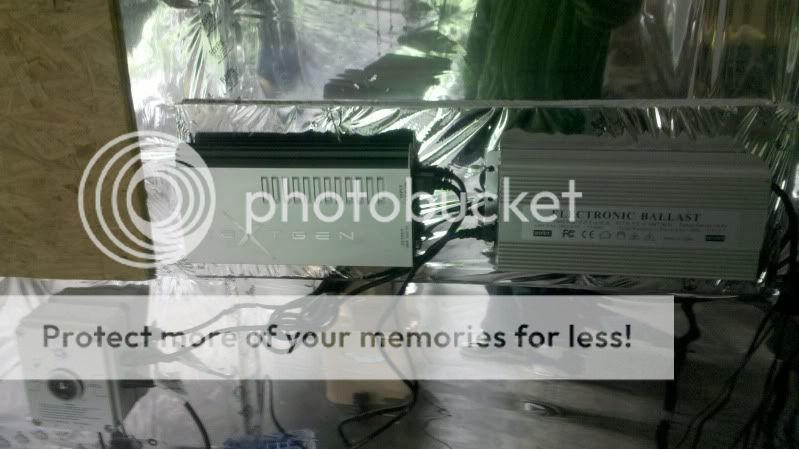 2011-02-26_22-40-42_10.jpg