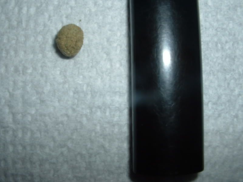 Kief.jpg