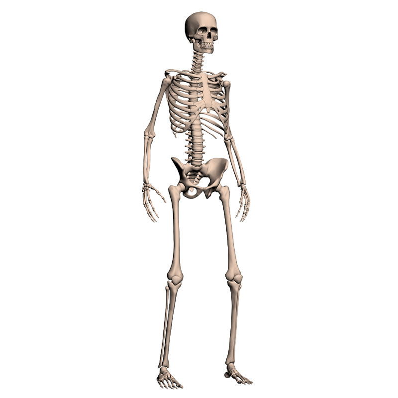 EtsMt38X1mp3h2pYzomw2CeA.jpeg