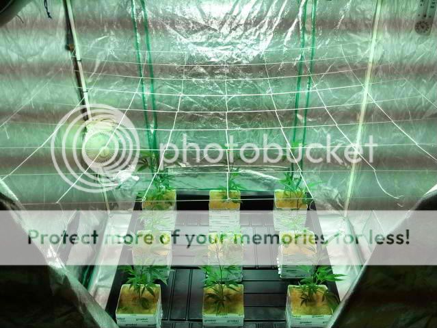 2011-01-15171832-1.jpg