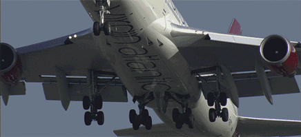 84410492.gif