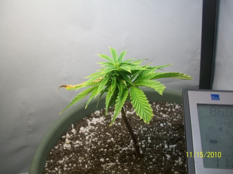 100_2215.jpg