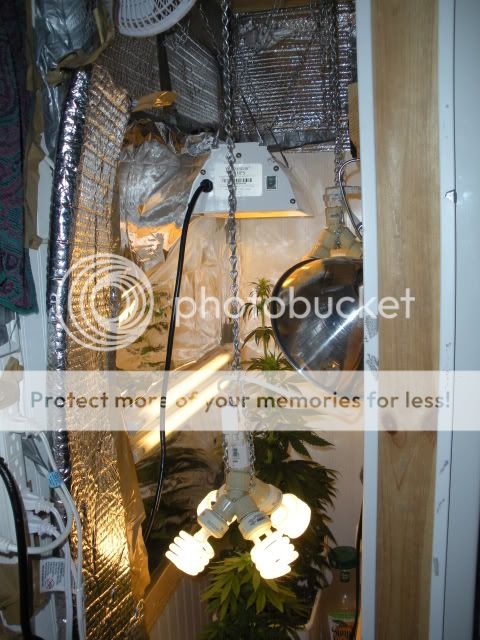 DSCN0738.jpg