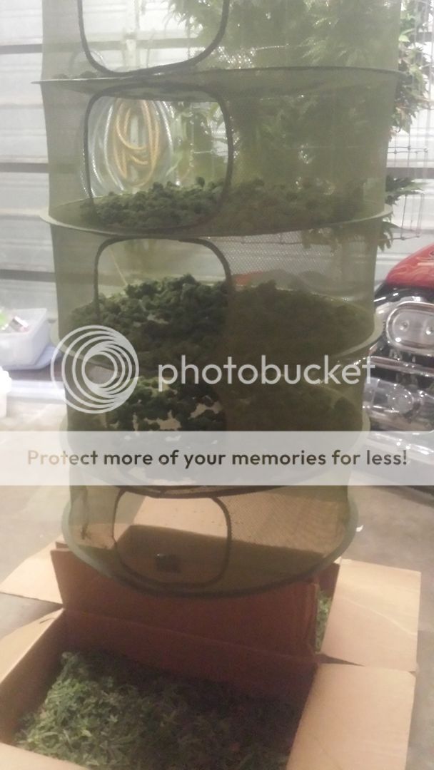 20150424_201813.jpg