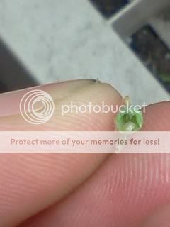 IMG837.jpg