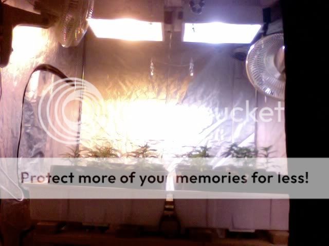 Photo59.jpg