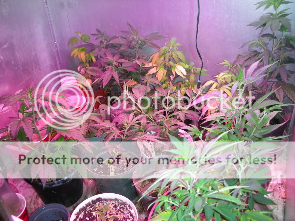 DSCN2901.jpg