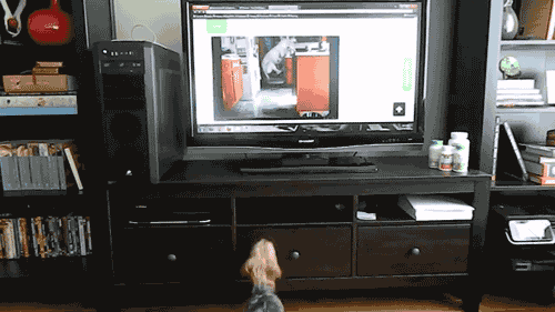 gifs_02.gif