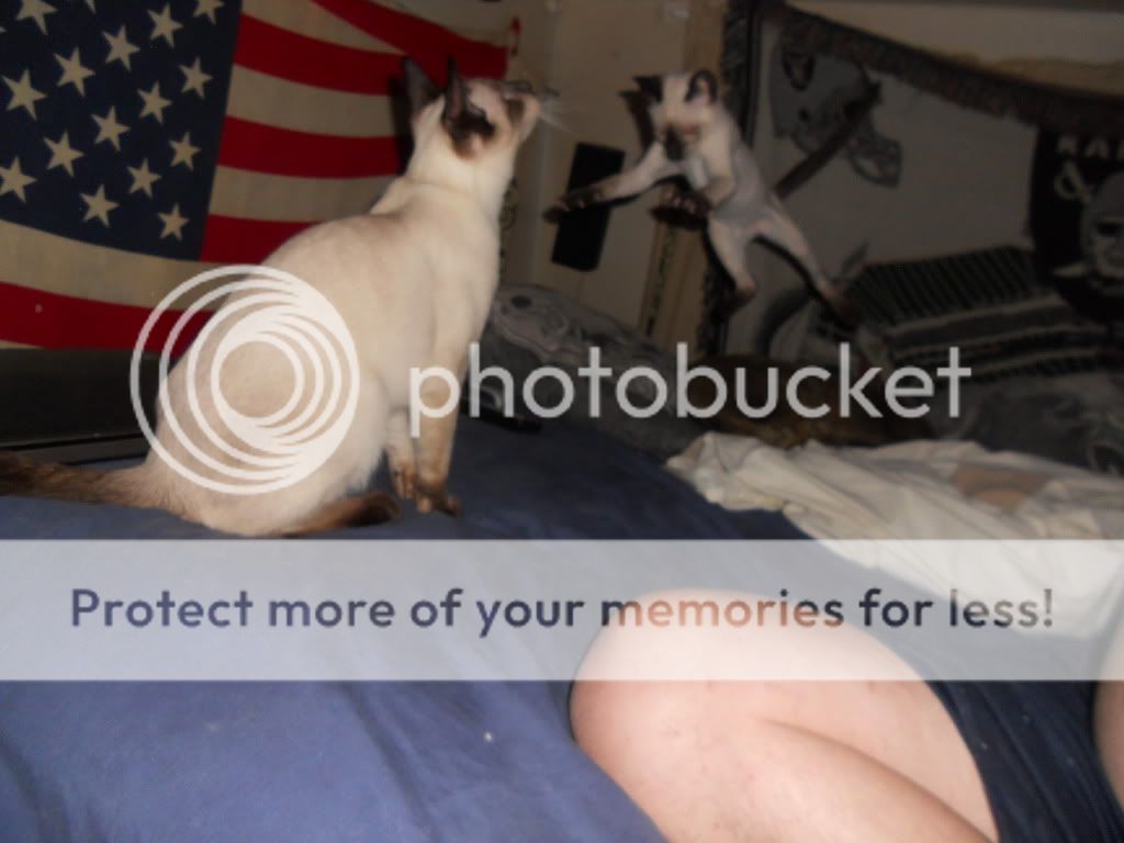 DSCN4039.jpg