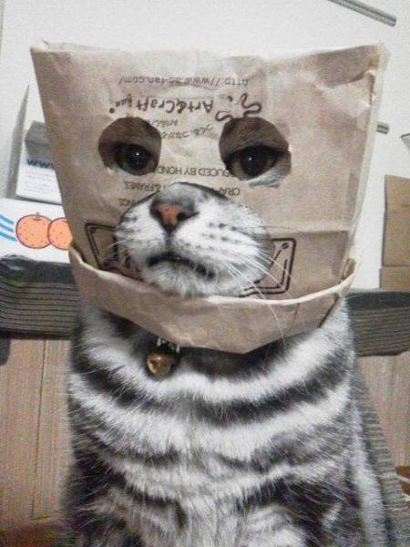 acid_picdump_83.jpg