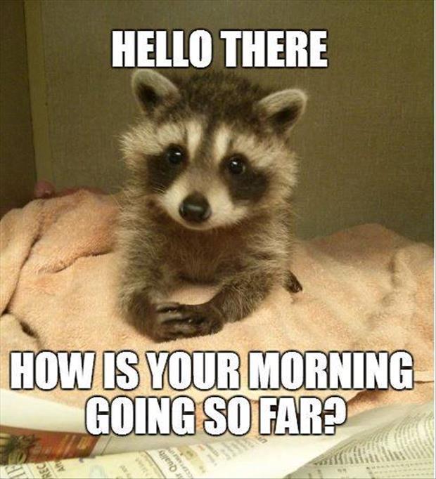 Good-morning-meme-27.jpg