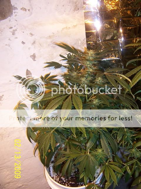 100_1363.jpg