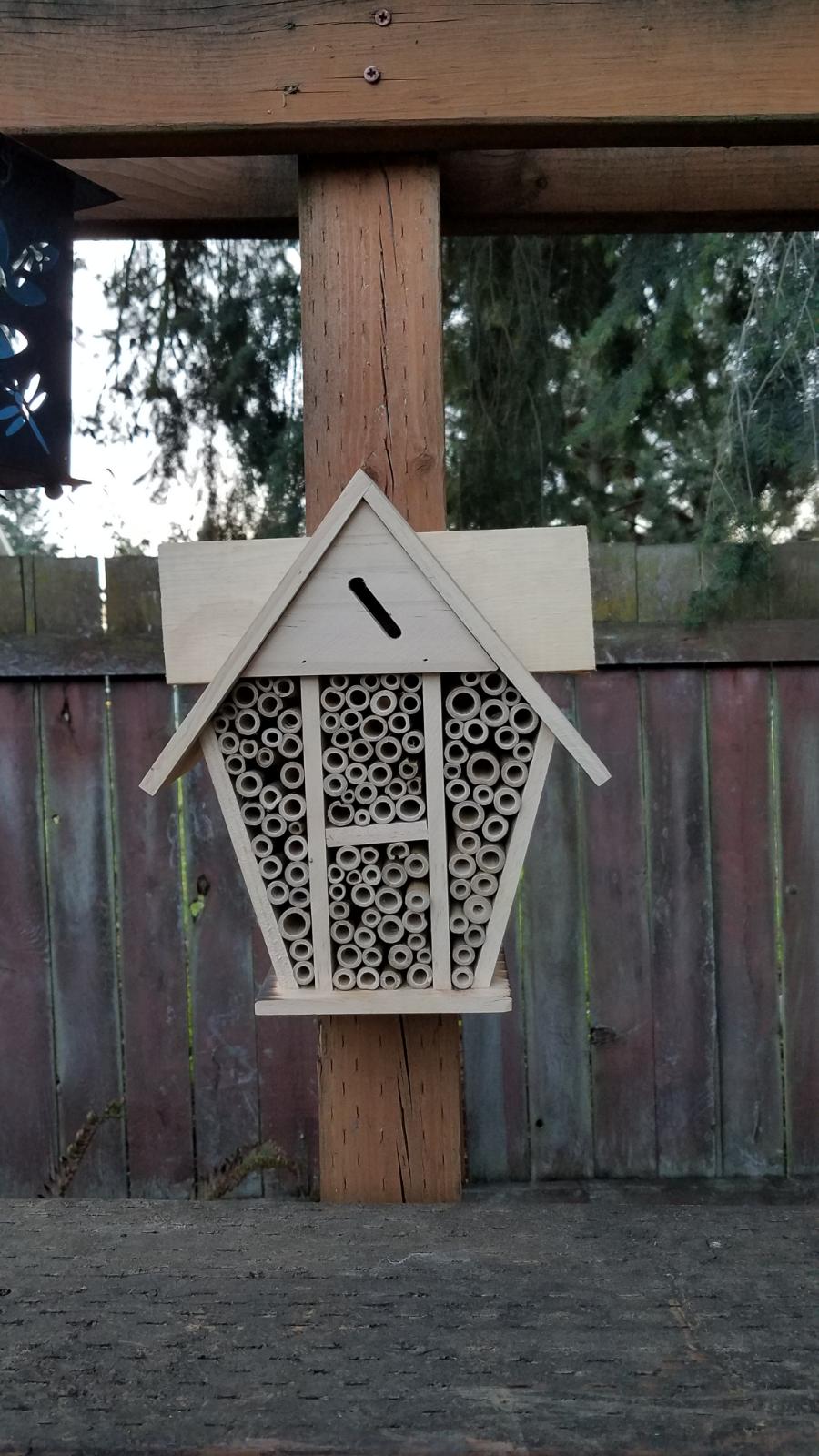 gardenbees.jpg