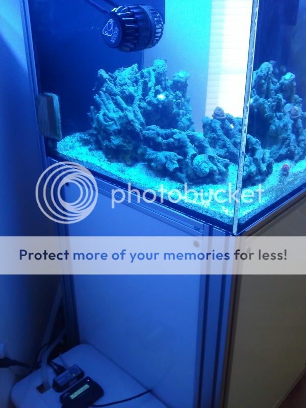 2011-03-10073729.jpg
