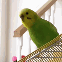 djsunny-sunnydj.gif