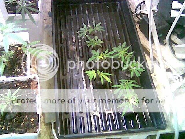 Image000.jpg