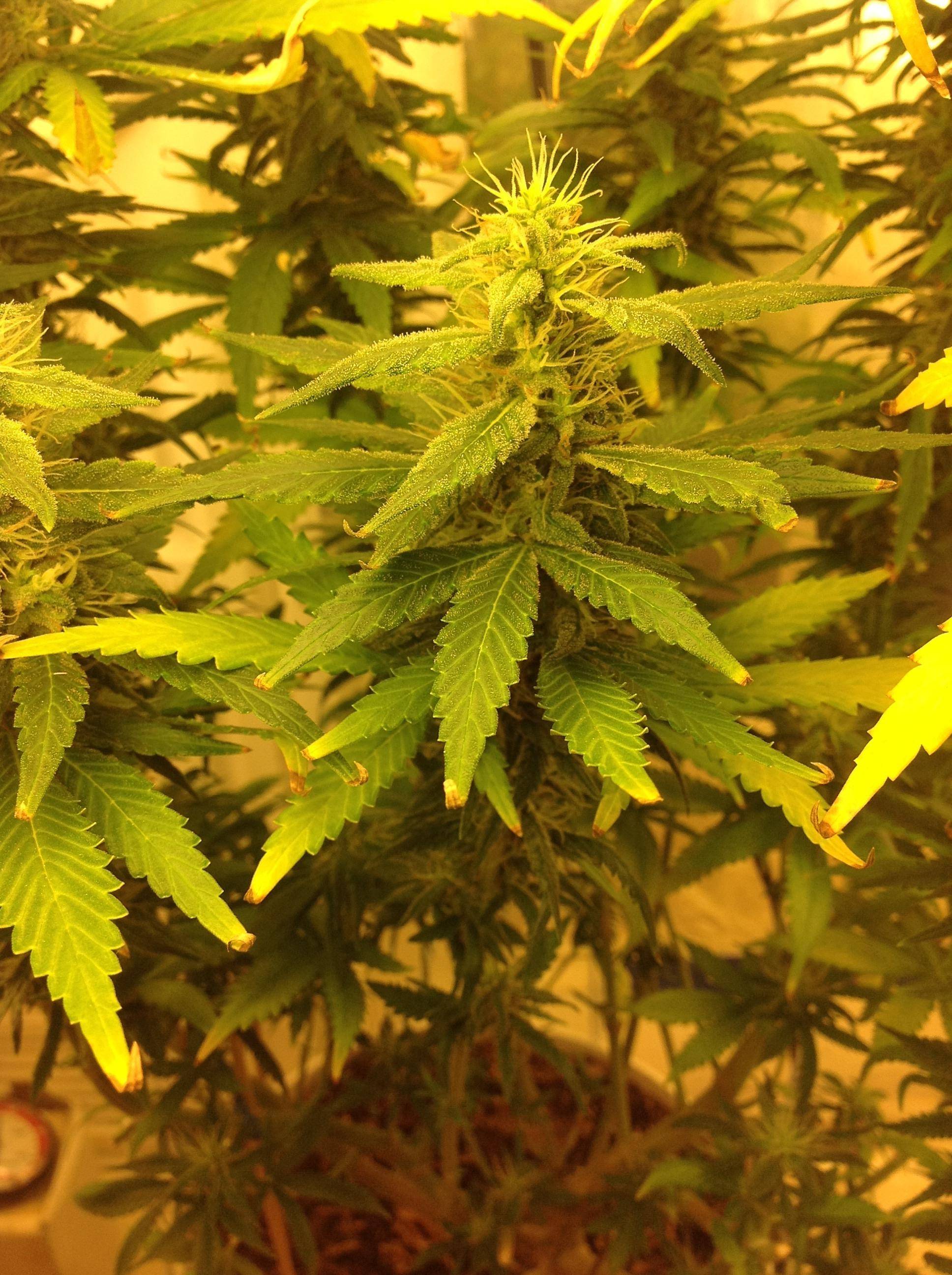 9gS7f.jpg
