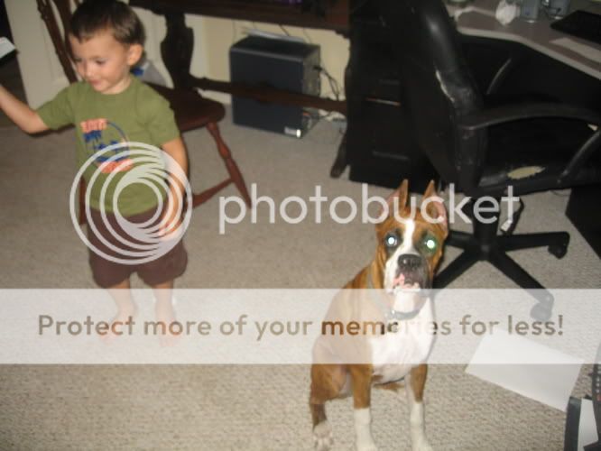 pic1-22.jpg