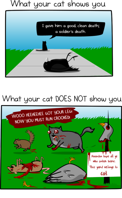 tumblr_mh9mhcvoPn1rjnqclo4_500.png