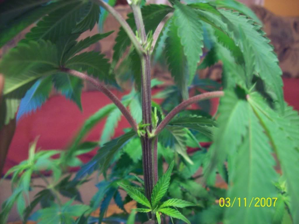 100_8384.jpg