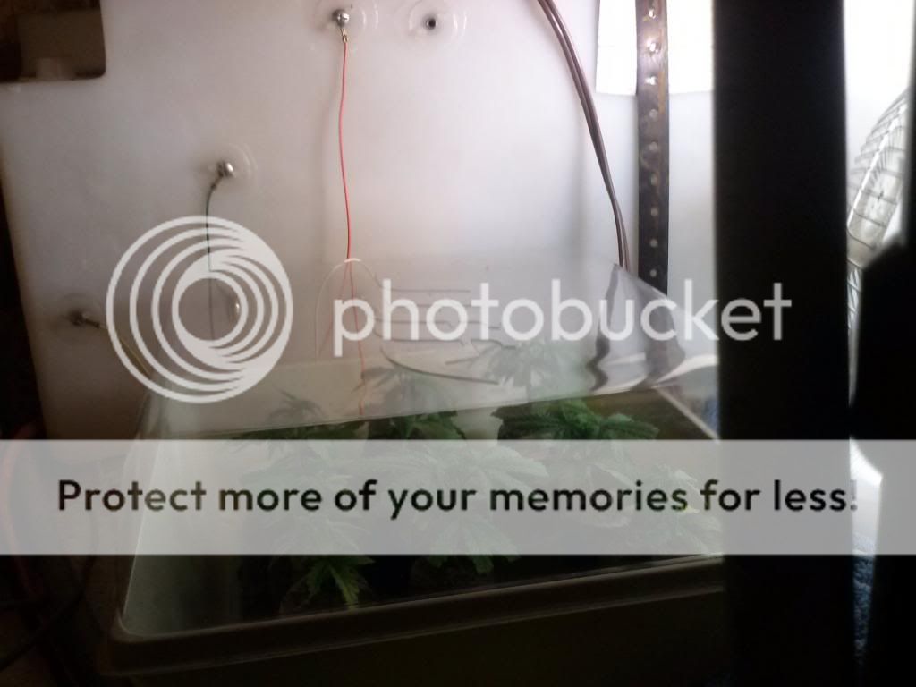 0128131330_zps4e54b503.jpg