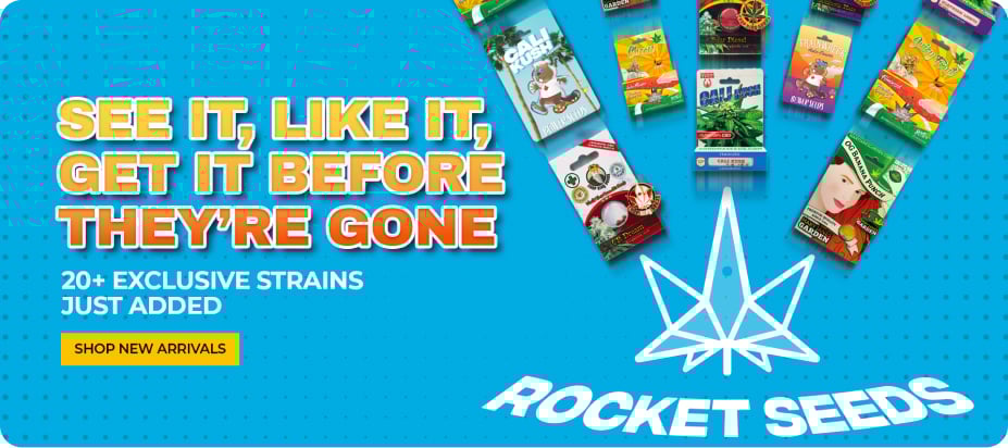 rocketseeds.com