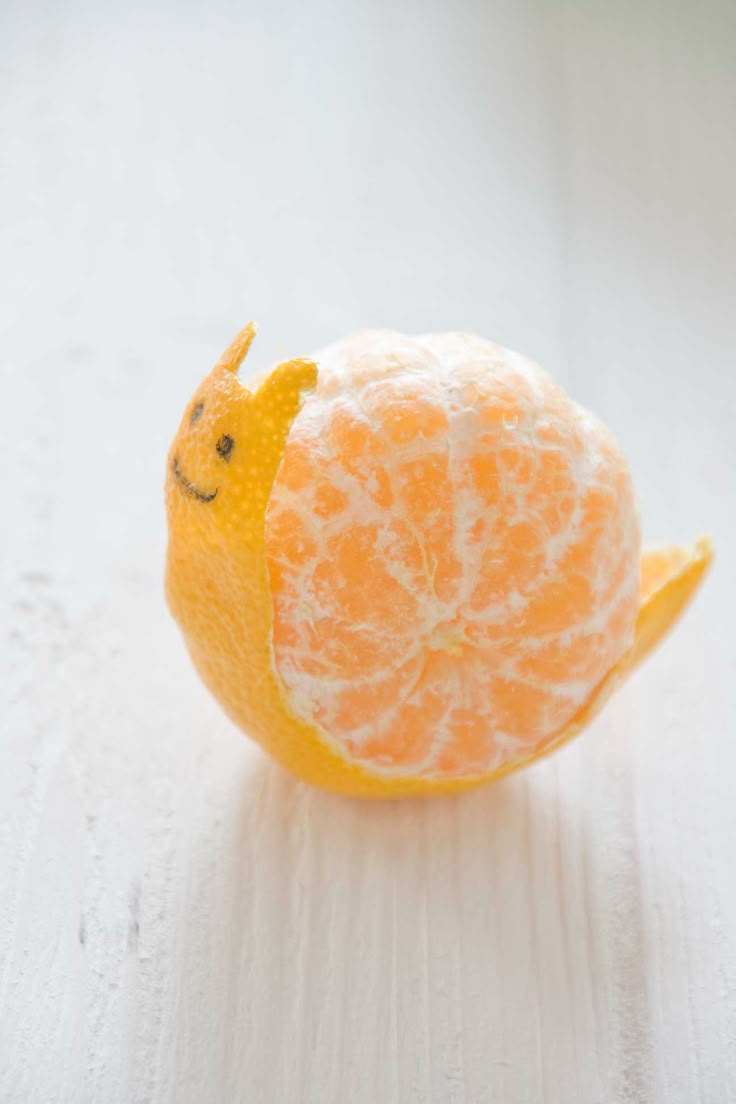 2e14a1d90ce853c05ac1df10c0401134--snails-so-cute.jpg