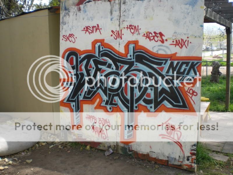 CIMG0439.jpg