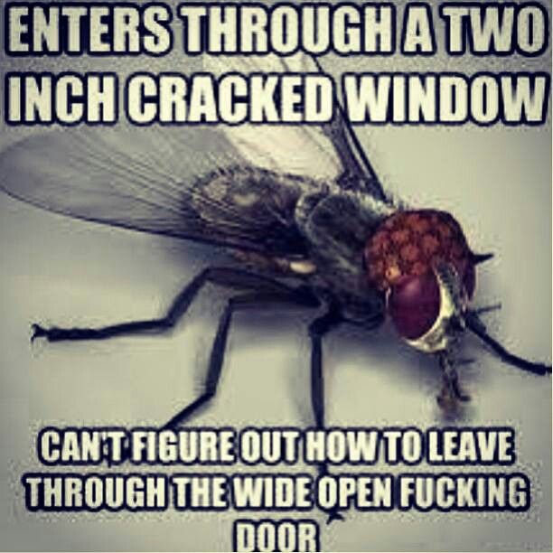 0b393cfc3f717d978a1c07464d05d7d5.jpg