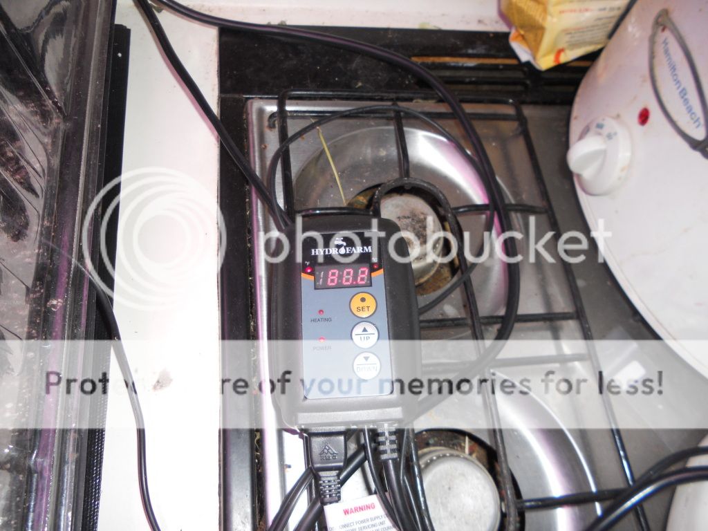 DSCN5233.jpg