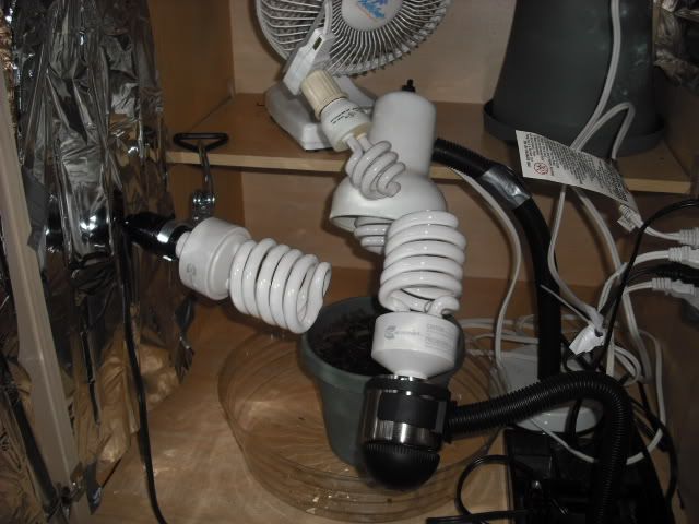 DSCF0170.jpg