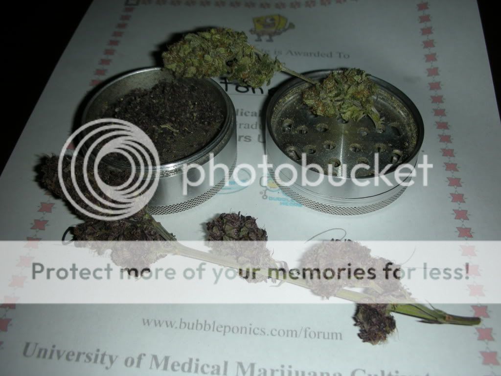 DSCN4198.jpg