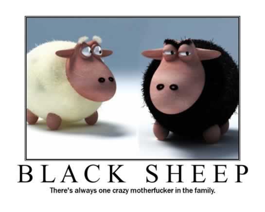 black_sheep.jpg