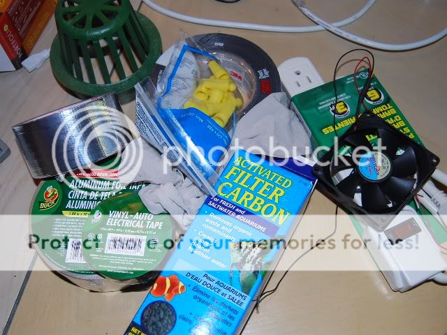 SSC_0981.jpg
