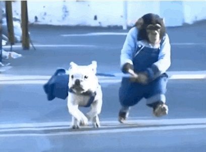 gifs_14.gif
