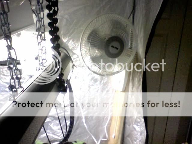 Photo47.jpg