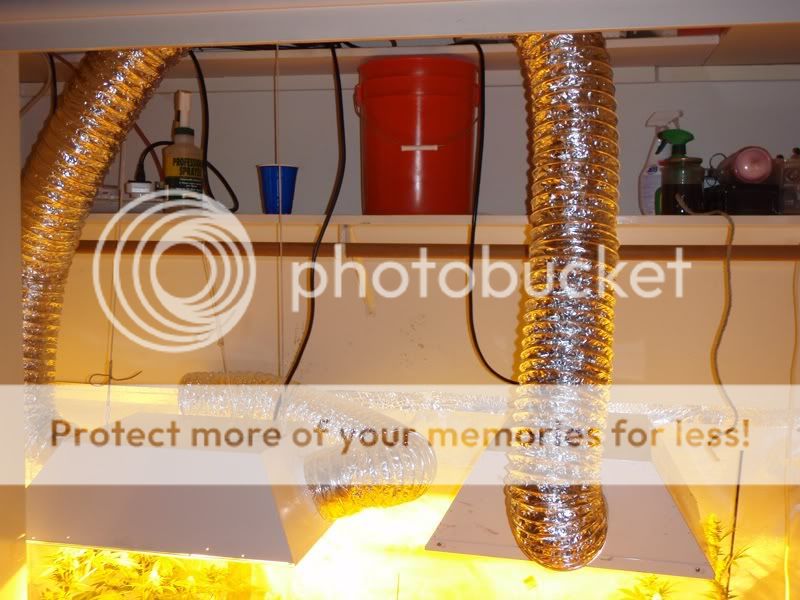 ducting.jpg