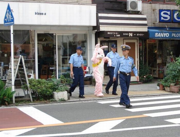 acid_picdump_49.jpg