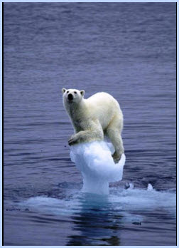 polar_bear_on_ice.jpg