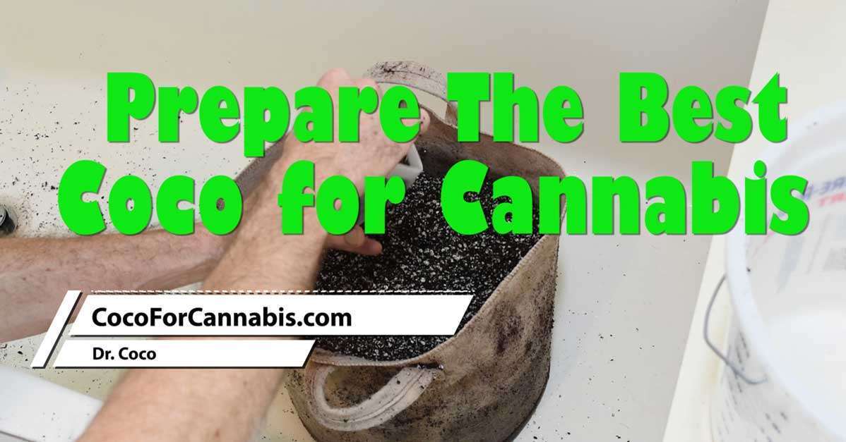 www.cocoforcannabis.com