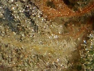 007_zpsde0634be.jpg