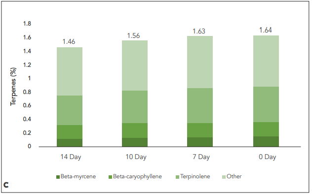 graph_c.png