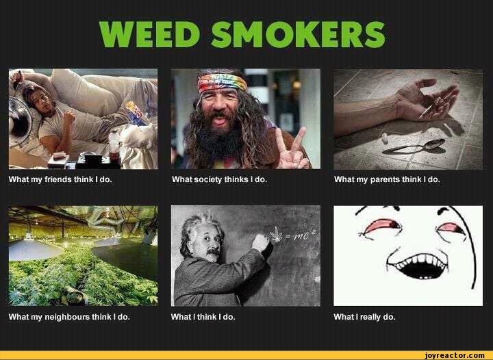 funny-pictures-stoner-humor-auto-440934.jpeg