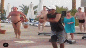giphy.gif