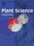 www.sciencedirect.com