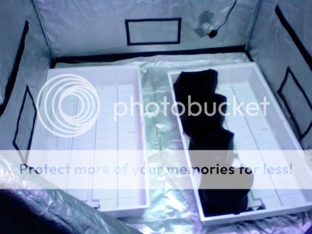 Photo8.jpg