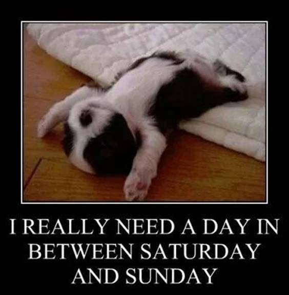 thursday-humor-images.jpg