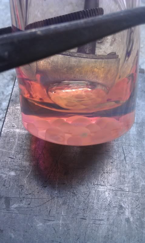 IMAG0745.jpg