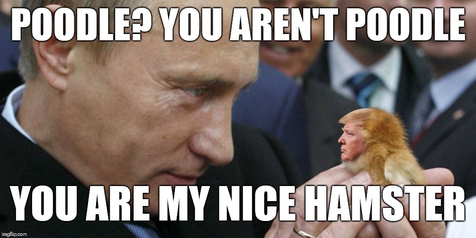 2g1zgk.jpg